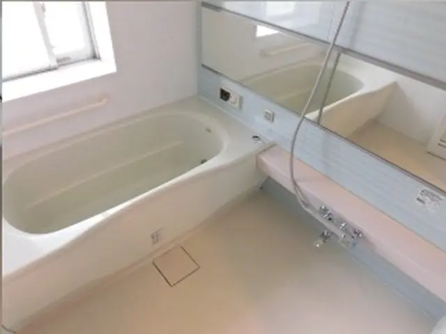 【特別価格】【エプロン内高圧洗浄】【鏡のウロコ除去】サービスの画像