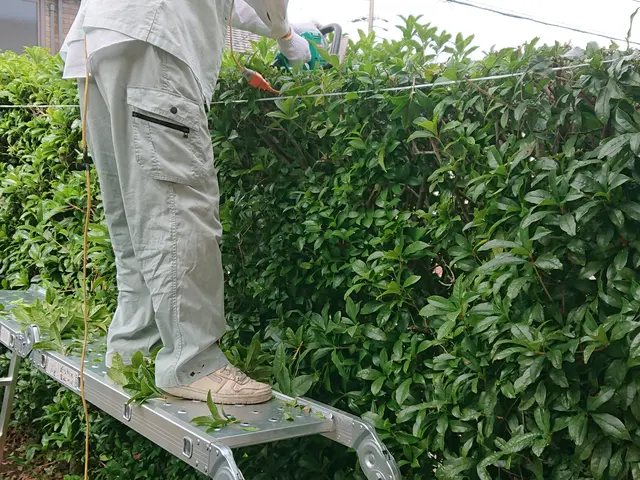 作業を始める前に予約確定前に現場での事前打ち合わせ優先無料診断オススメ！サービスの画像