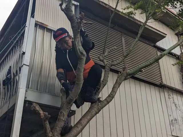 作業を始める前に予約確定前に現場での事前打ち合わせ優先無料診断オススメ！サービスの画像