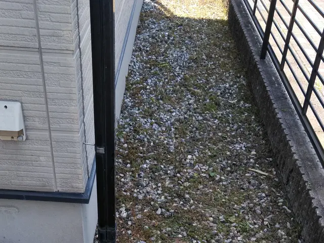 雑草の草取り、丁寧に早く対応します！サービスの画像