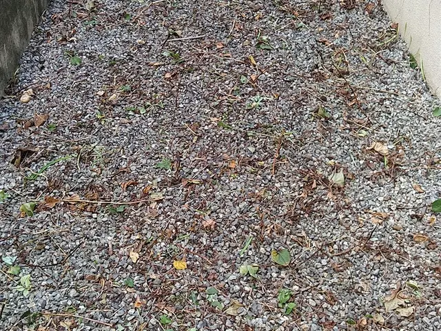 雑草の草取り、丁寧に早く対応します！サービスの画像