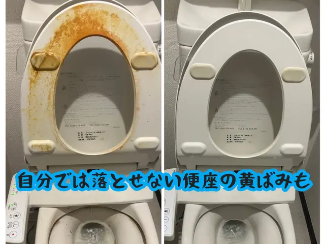ウォッシュレットやタンク内部まで、さぼったリングができにくいトイレにしますサービスの画像