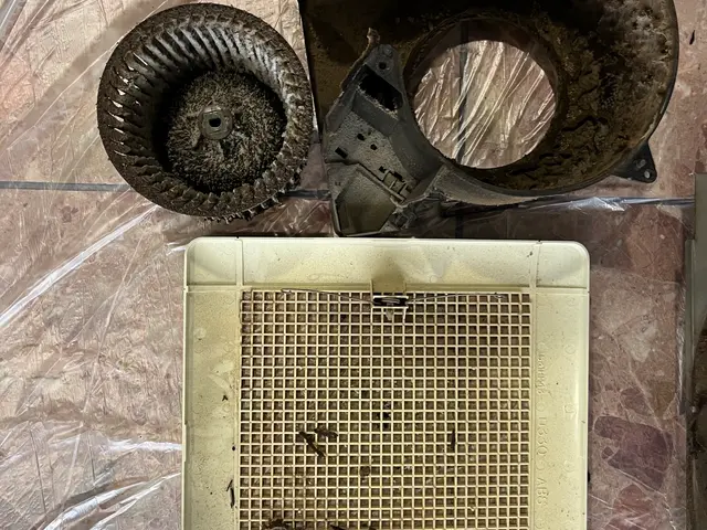 新年のお掃除にどうぞ！2回目以降破格でご案内します！サービスの画像