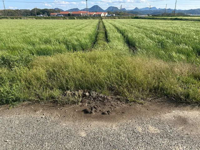 損害保険に加入済み◎一つ一つの現場を大切に、徹底的に丁寧に仕上げます。サービスの画像