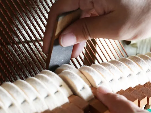 業歴20年以上の調律師が最適な音色をお届けしますサービスの画像