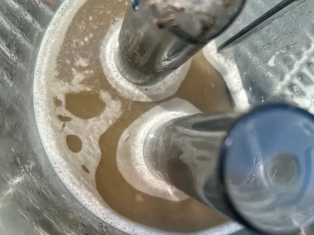 即レス【業界10年以上】年間300台以上実績！出張車内クリーニング【保険加入済】サービスの画像