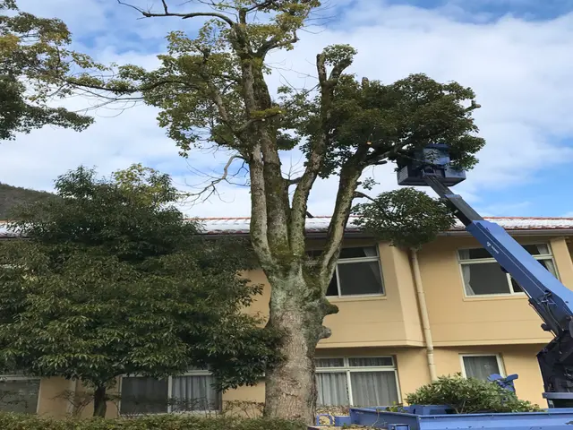 【1月出店記念】プロの技術でご満足いただけるように心を込めて作業いたしますサービスの画像