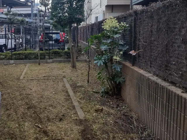 【業歴40年二代目店長】お庭と植木に合わせたお手入れとアドバイスいたしますサービスの画像