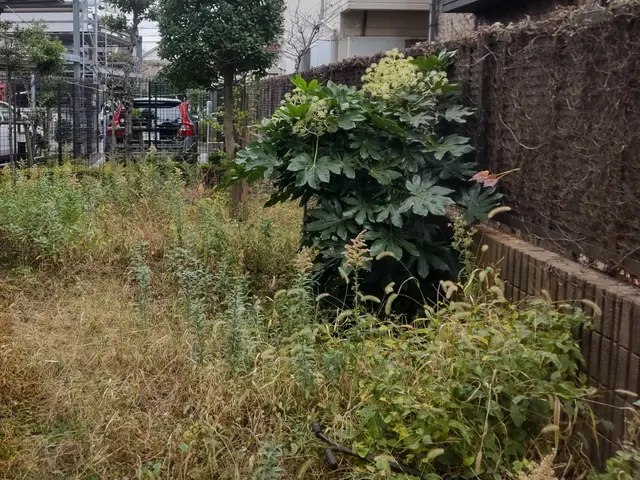 【業歴40年二代目店長】お庭と植木に合わせたお手入れとアドバイスいたしますサービスの画像