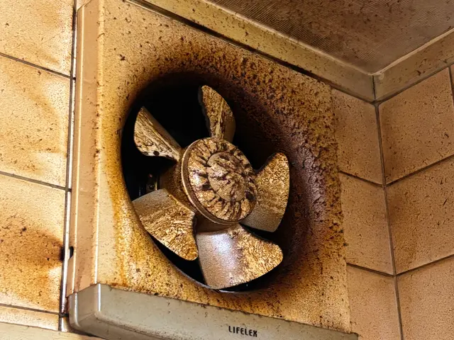 ◇新規出店割引中◇駐車場代金無料◇損害保険加入済◇WAX仕上げ無料◇サービスの画像