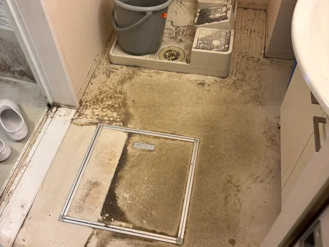 ◇新規出店割引中◇駐車場代金無料◇損害保険加入済◇WAX仕上げ無料◇サービスの画像