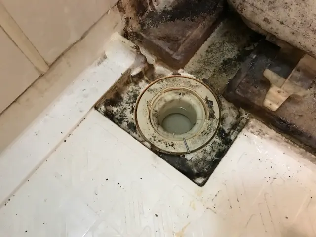 ★業界歴10年★ 《オゾン防カビ・防臭¥2,000-》☆人と環境にも優しい洗剤☆サービスの画像