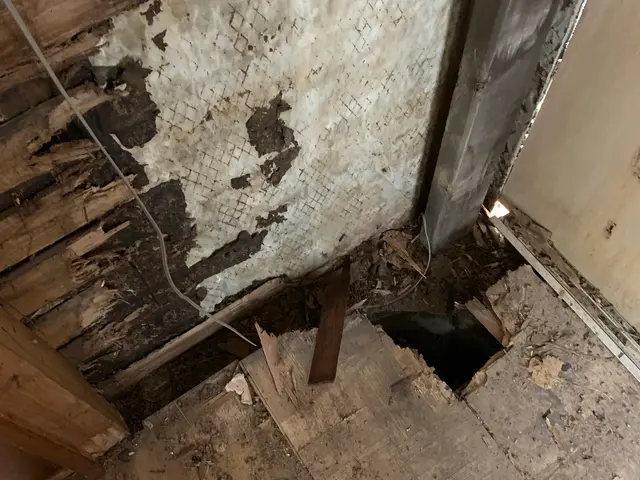 職人直営シロアリ対策。安心できる家づくりをサービスの画像