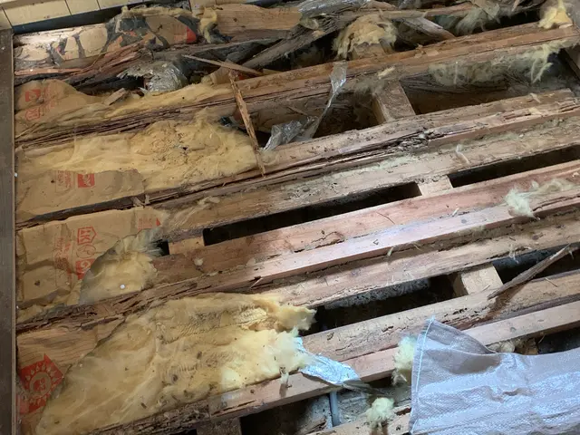 職人直営シロアリ対策。安心できる家づくりをサービスの画像