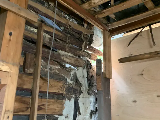 職人直営シロアリ対策。安心できる家づくりをサービスの画像