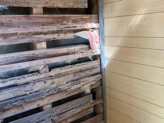 職人直営シロアリ対策。安心できる家づくりをサービスの画像