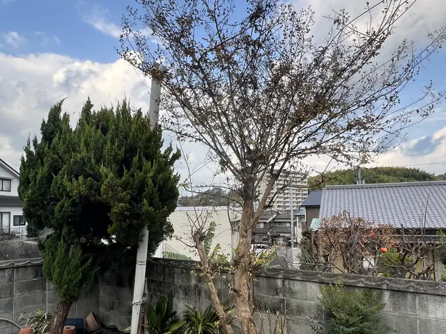 業務経験あり◉仕上がり重視で丁寧に作業しますサービスの画像