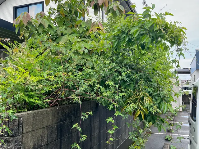 業務経験あり◉仕上がり重視で丁寧に作業しますサービスの画像