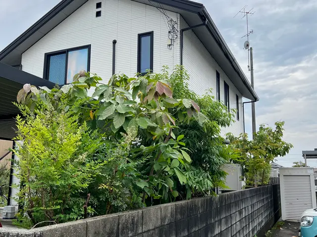 業務経験あり◉仕上がり重視で丁寧に作業しますサービスの画像