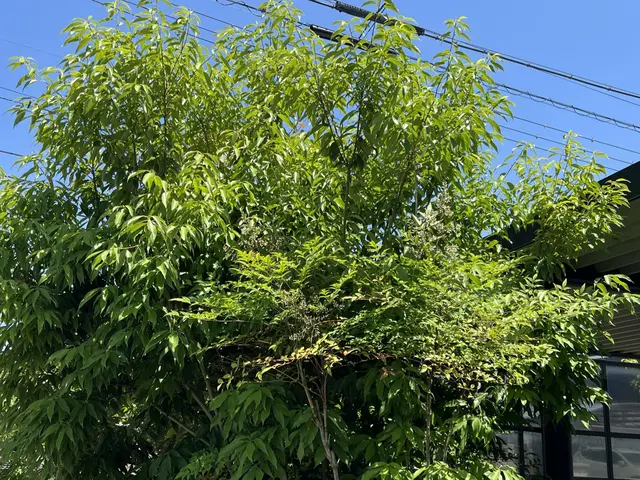 業務経験あり◉仕上がり重視で丁寧に作業しますサービスの画像