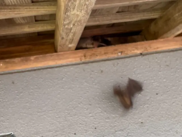 【すべて自社対応】損害保険加入済み●営業時間外でもご相談くださいサービスの画像