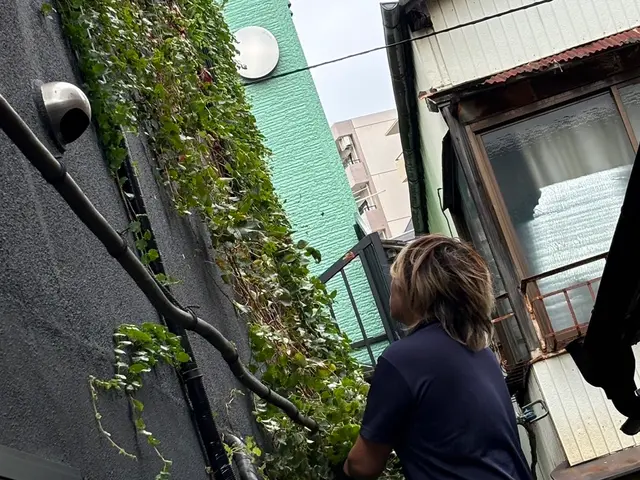 見栄え悪いツタ僕らが倒します！！サービスの画像