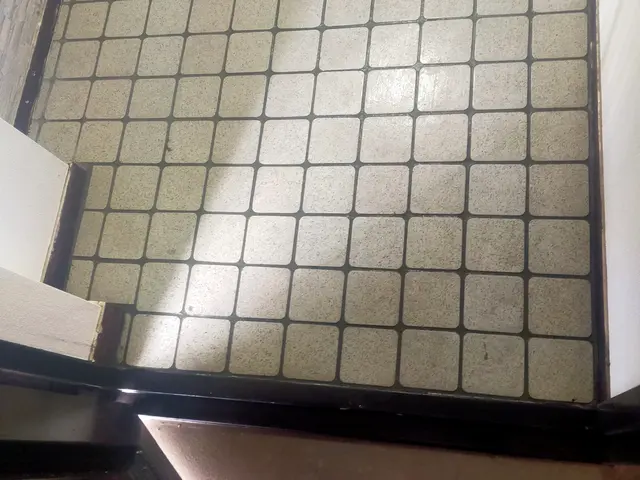 玄関タイルクリーニングサービスの画像