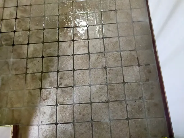 玄関タイルクリーニングサービスの画像