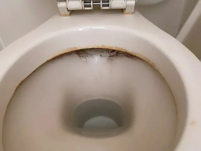 綺麗なトイレで運気もアップサービスの画像