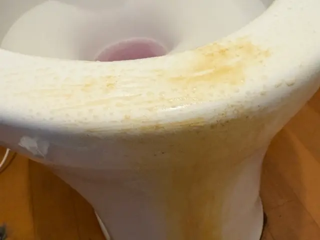 女性スタッフ♡ふち裏から尿石、着色までトイレのクリーニング♪サービスの画像