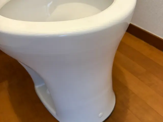 女性スタッフ♡ふち裏から尿石、着色までトイレのクリーニング♪サービスの画像