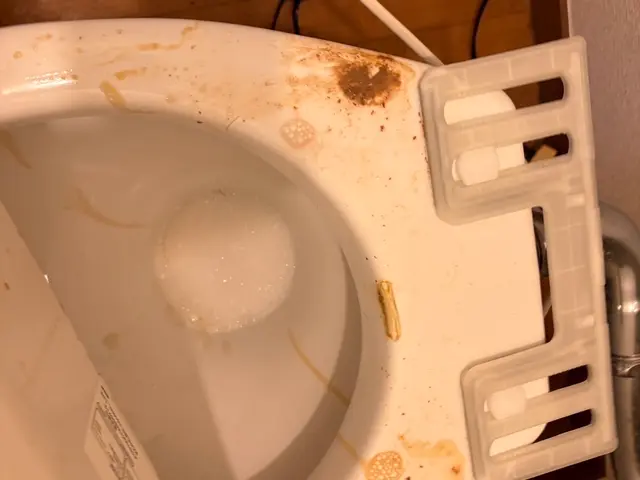 女性スタッフ♡ふち裏から尿石、着色までトイレのクリーニング♪サービスの画像