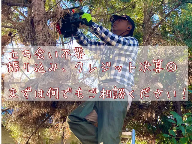 【必ず私が伺います！】お庭・空き家・空き地対応可能◎お見積もりだけでも歓迎！サービスの画像
