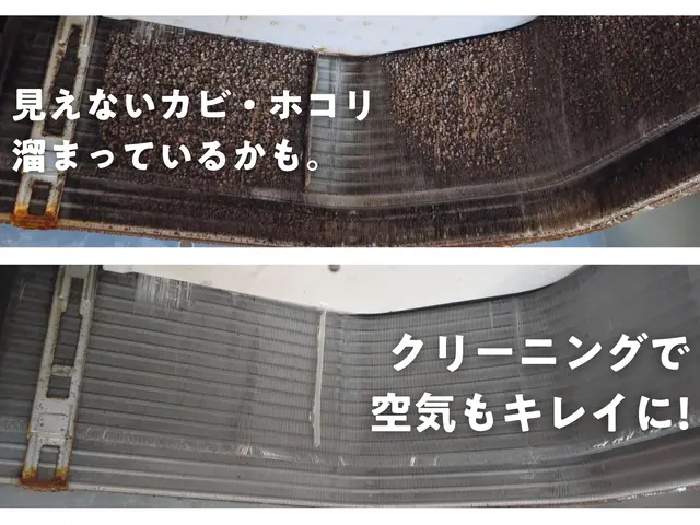 【高品質×安心価格×人柄】お客様目線を第一に考えて作業いたします！防カビ無料◎サービスの画像