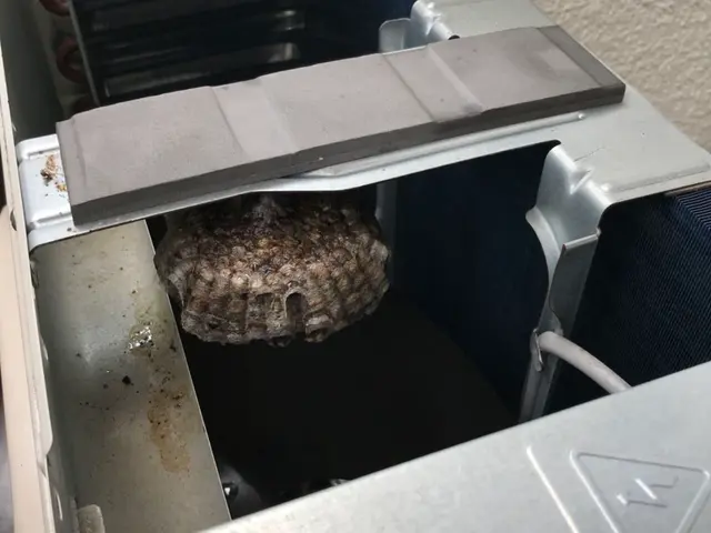 ★20年以上の経験★●クレジットカード払いOK●巣の撤去までお任せください！サービスの画像