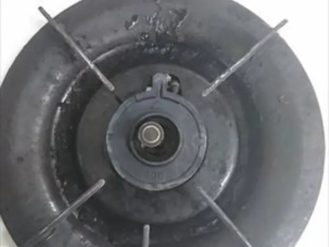 空室クリーニング☆サービスの画像