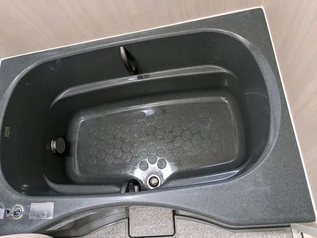 蛇口は輝き石けん壁も打ち崩すサービスの画像