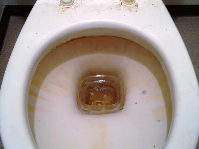 トイレクリーニング《損害保険加入済み》大手での経験有!!サービスの画像