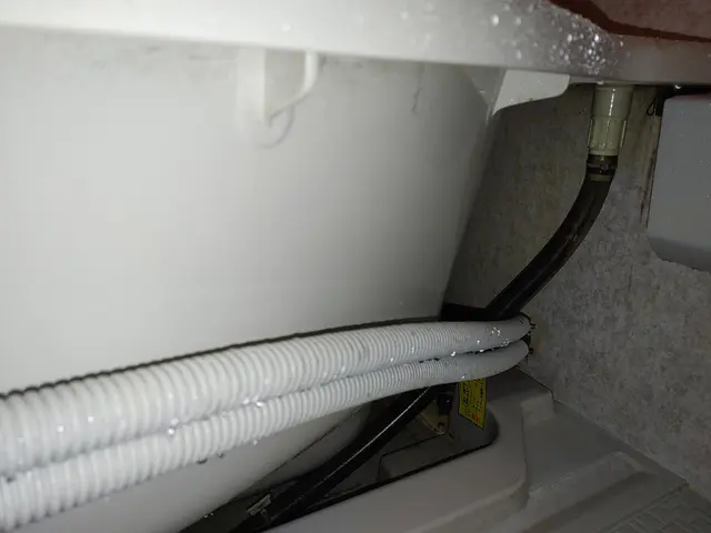 親切、丁寧に作業いたします。お子様やペットがいてもご安心下さいませ。サービスの画像