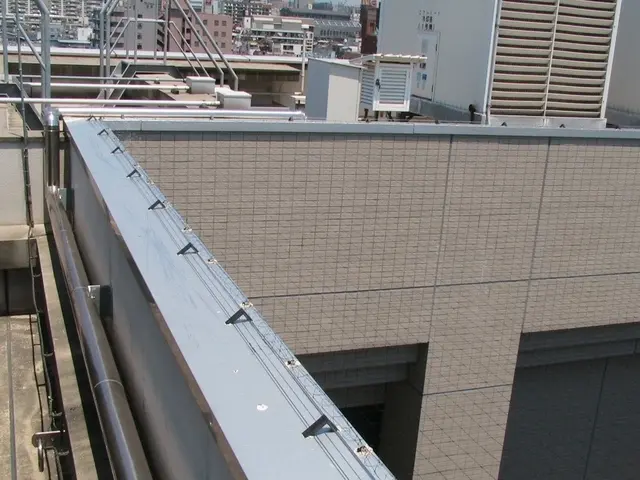 【鳥害専門２６年の実績】プロの施工で効果確実サービスの画像