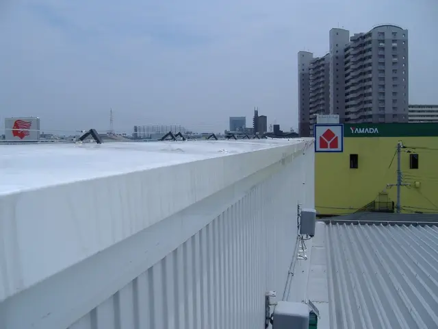 【鳥害専門２６年の実績】プロの施工で効果確実サービスの画像