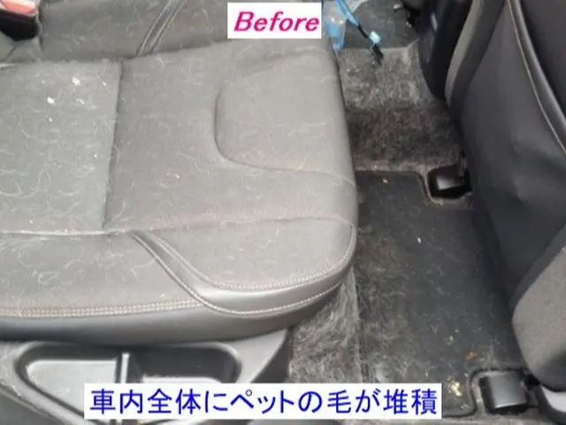 車内をまるごとクリーニング！　対応地域外・営業時間外もご相談ください！サービスの画像