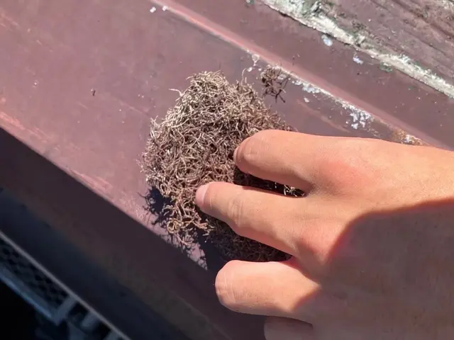 ★実績多数★外壁塗装でお家を美しく、そして長持ちさせませんか？♪♪サービスの画像