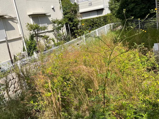 草刈りでスッキリなお庭を！！サービスの画像