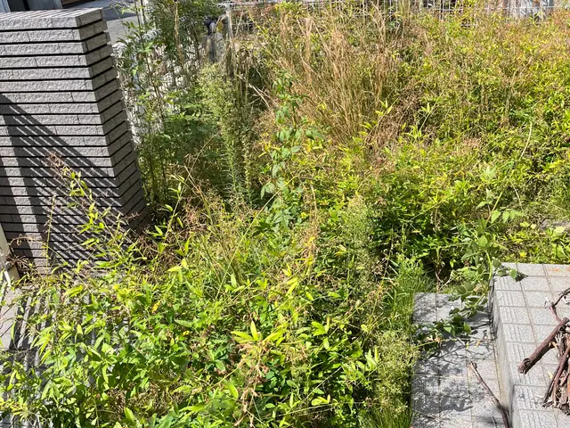 草刈りでスッキリなお庭を！！サービスの画像