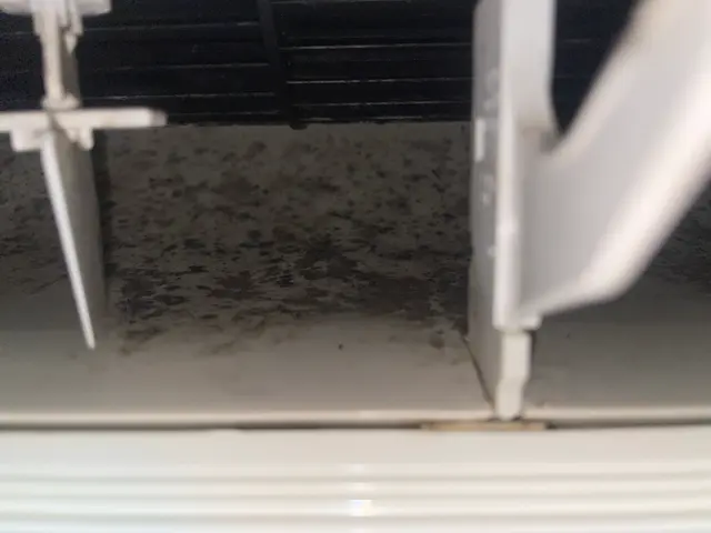 ▼31日空き有り！！▼ 赤ちゃん・ペットに安心のエコ洗剤使用！安心の損害保険加入サービスの画像