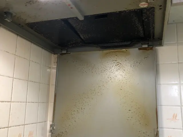 キッチンまるごと！2点セット（キッチン+換気扇）サービスの画像