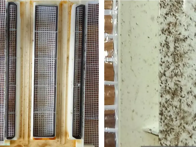 【店長のわたしがお伺いします！】お気軽にご相談ください！！サービスの画像