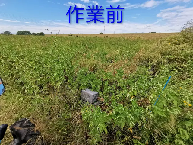 ◤1,000平米〜広い土地もおまかせ◢畑、耕作放棄地、太陽光発電用地も歓迎！サービスの画像