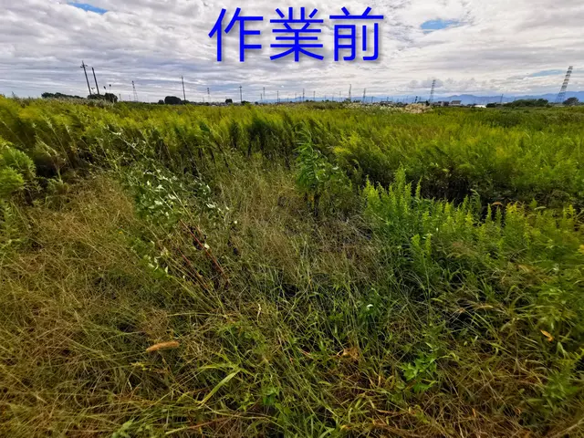 ◤1,000平米〜広い土地もおまかせ◢畑、耕作放棄地、太陽光発電用地も歓迎！サービスの画像